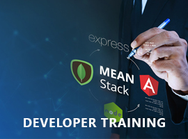 MEAN STACK training